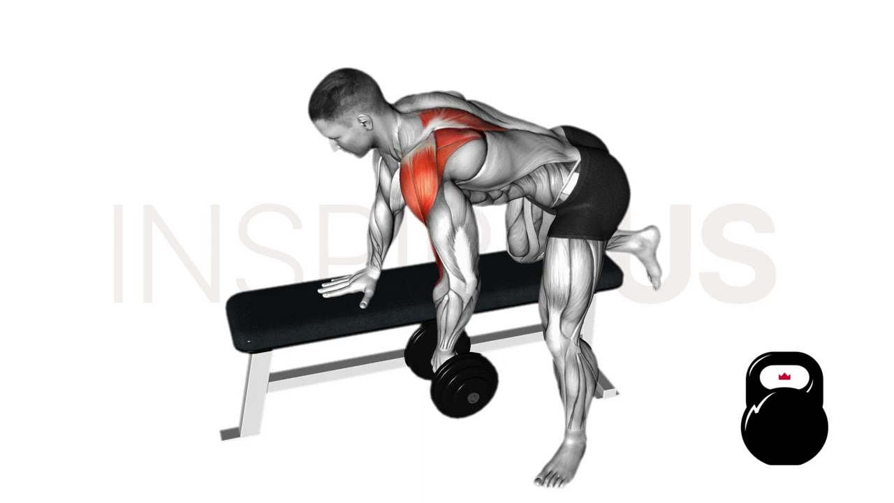 Dumbbell Rear Delt Row