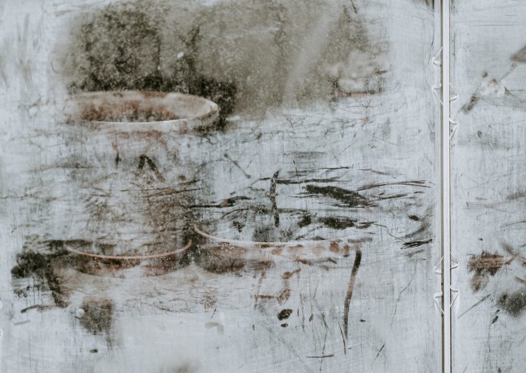 Do Mold Spores Ever Die? Is it Possible to Kill Them? Inspire US