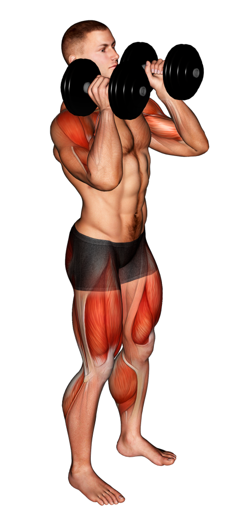 dumbbell power clean static