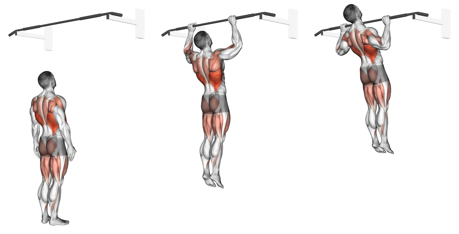 Jumping Pull Ups: Benefits, Muscles Worked, and More (with Pictures ...