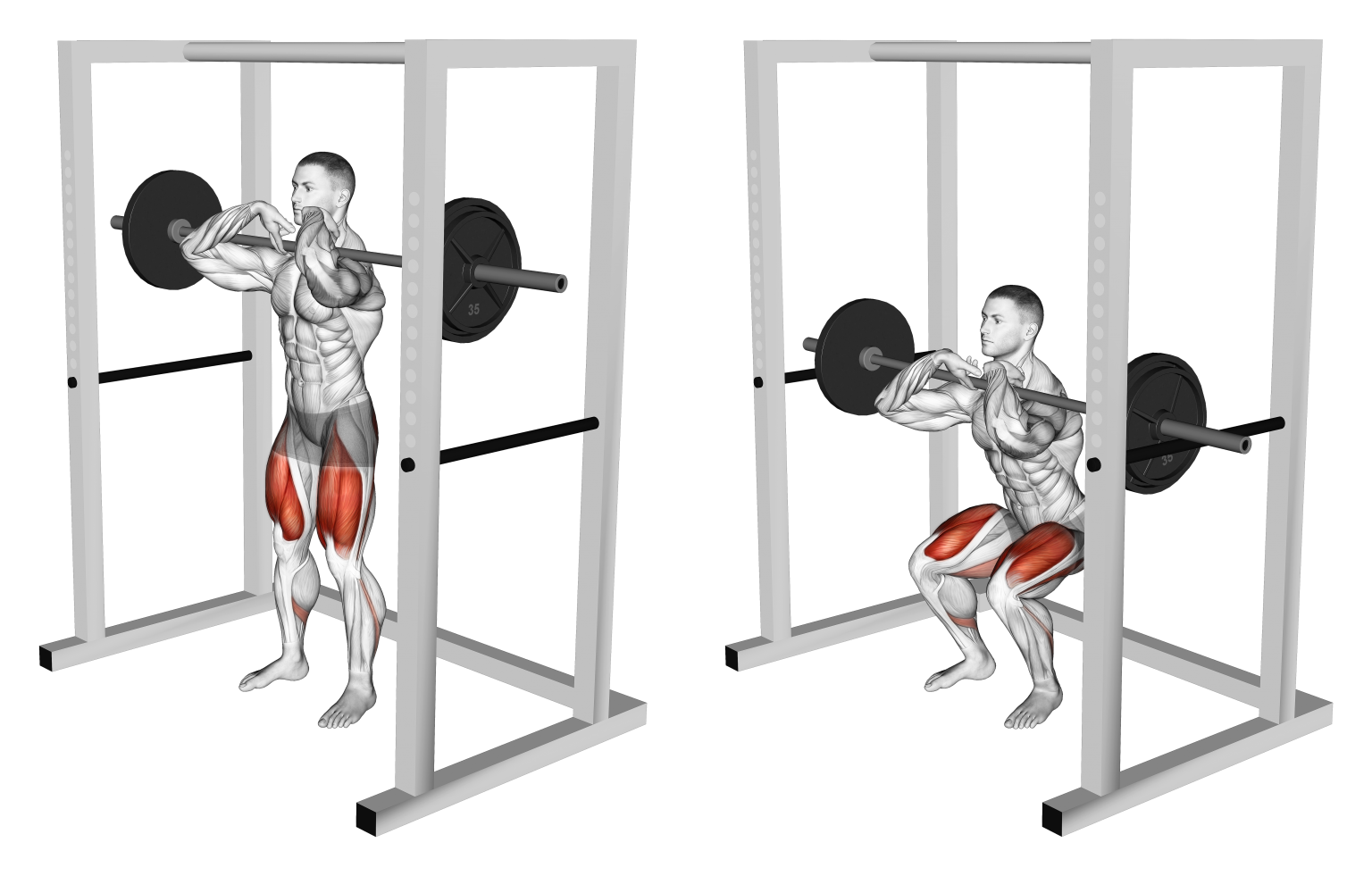 How Many Squat Reps Should I Do? Volume Explained Inspire US