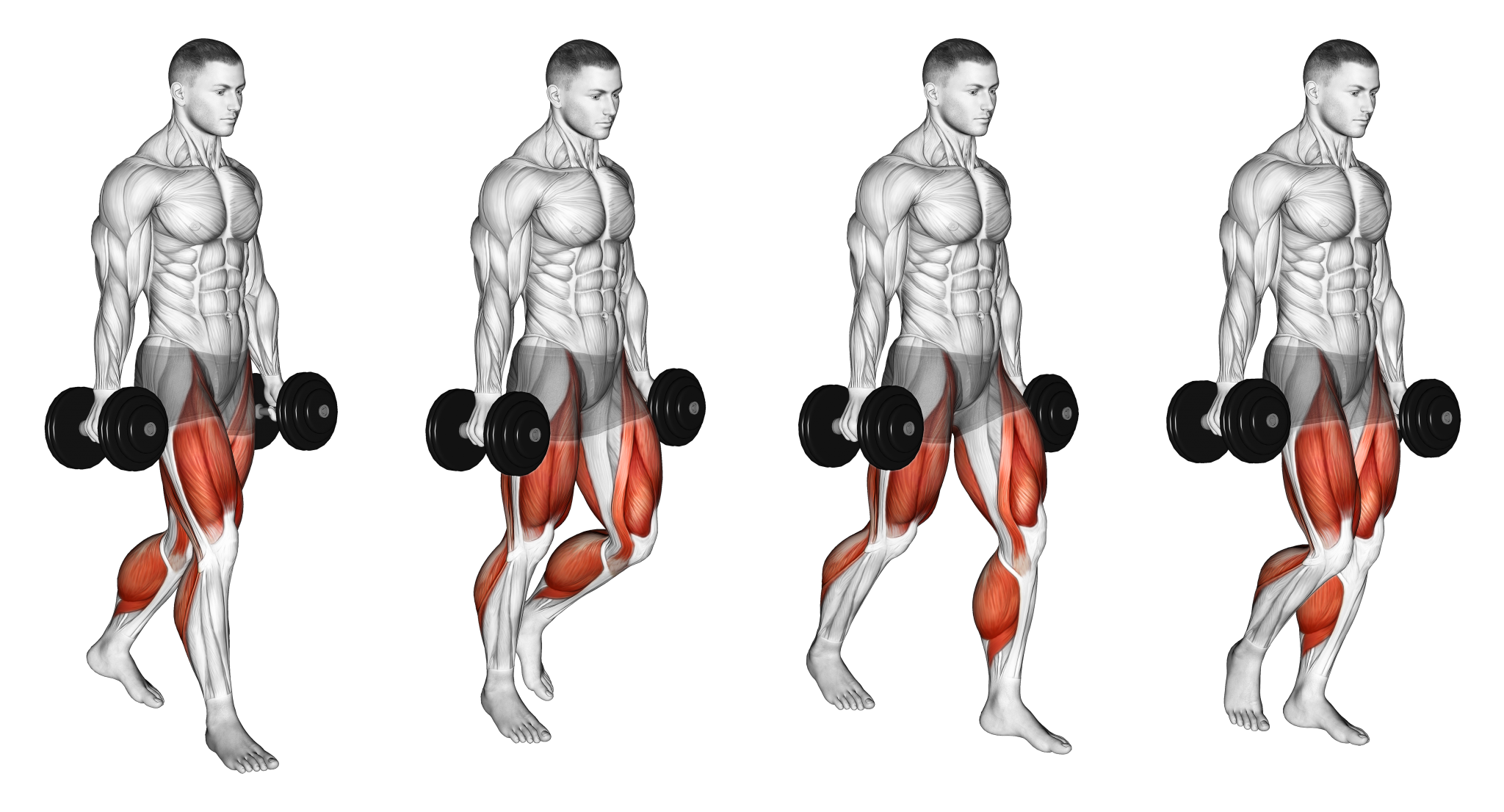 5 Shrug Alternatives to Build Huge Traps Inspire US