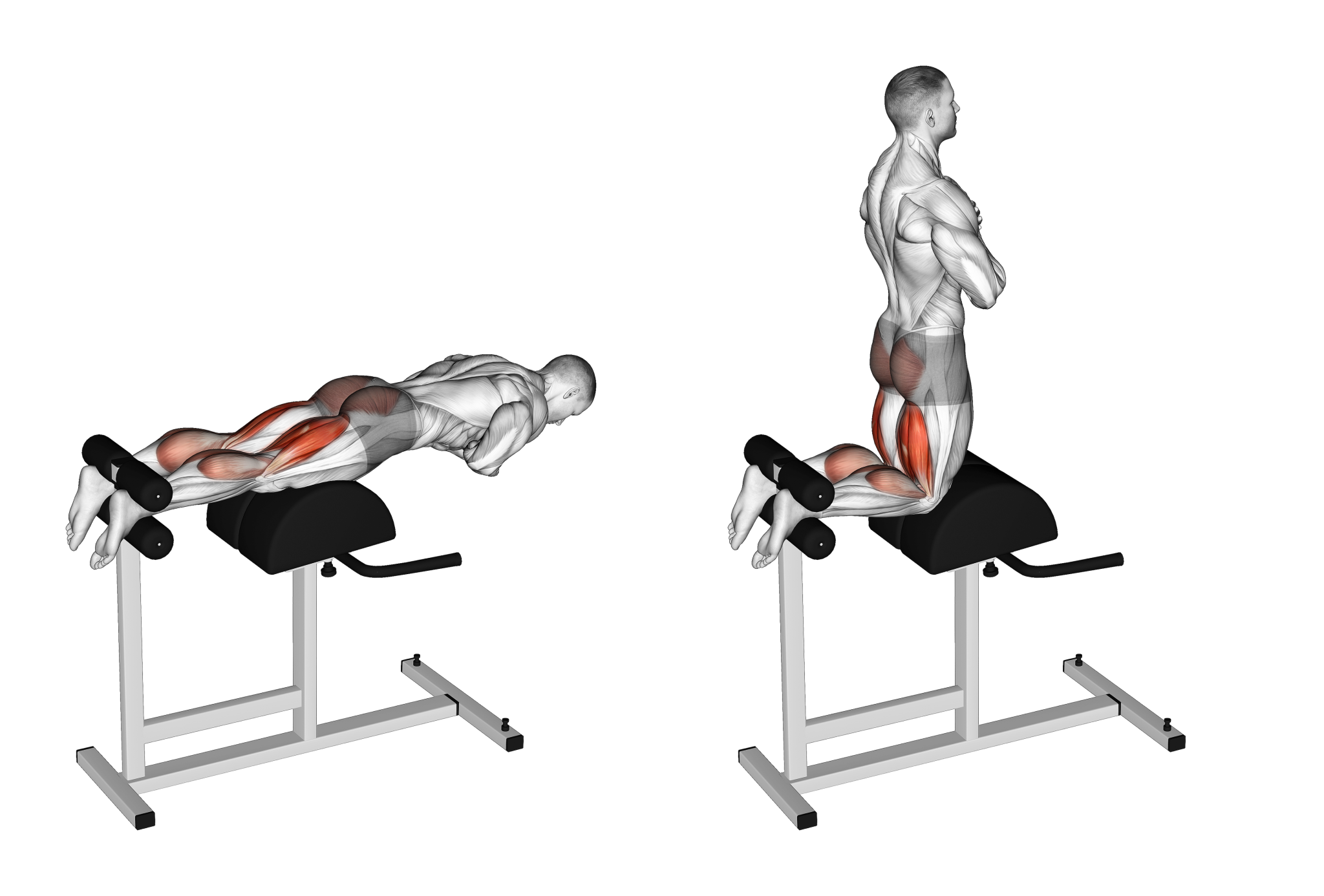 5 Effective Glute Ham Raise Alternatives (With Pictures!) Inspire US