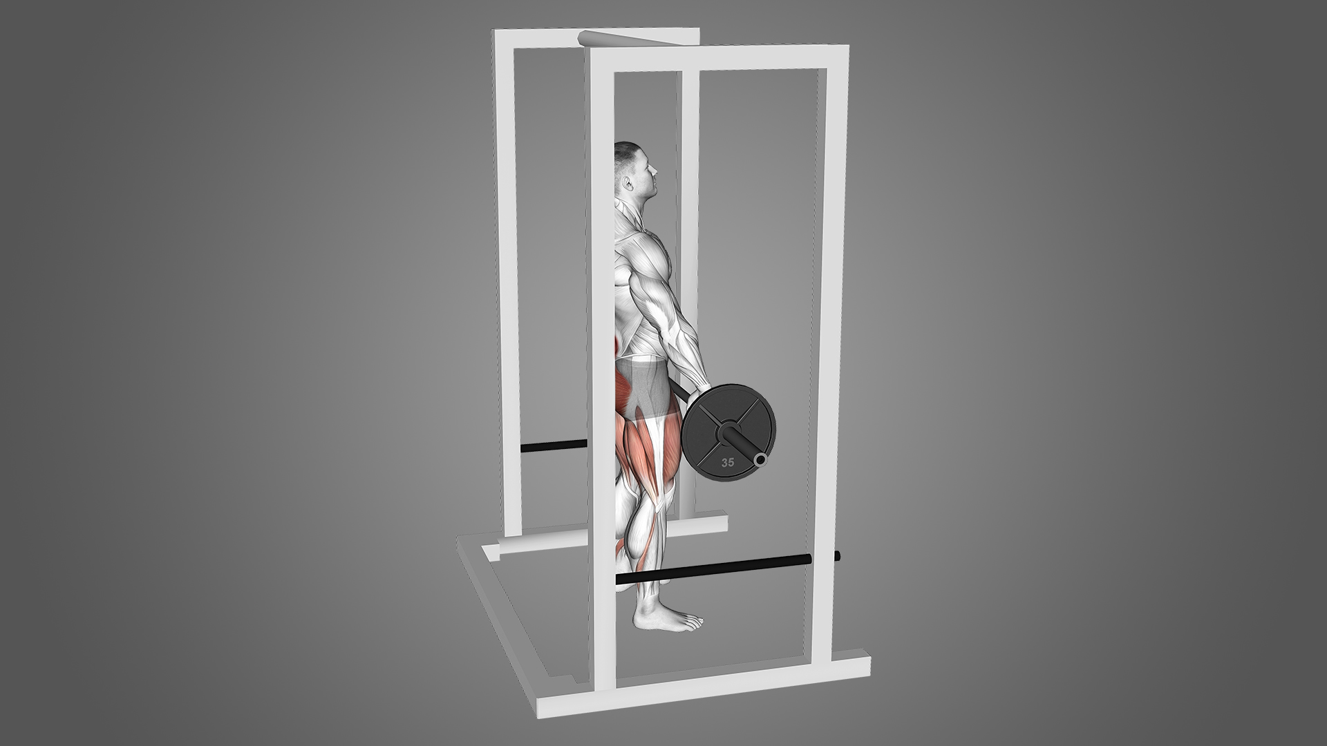 The Rack Pull Benefits, Muscles Used, and More Inspire US