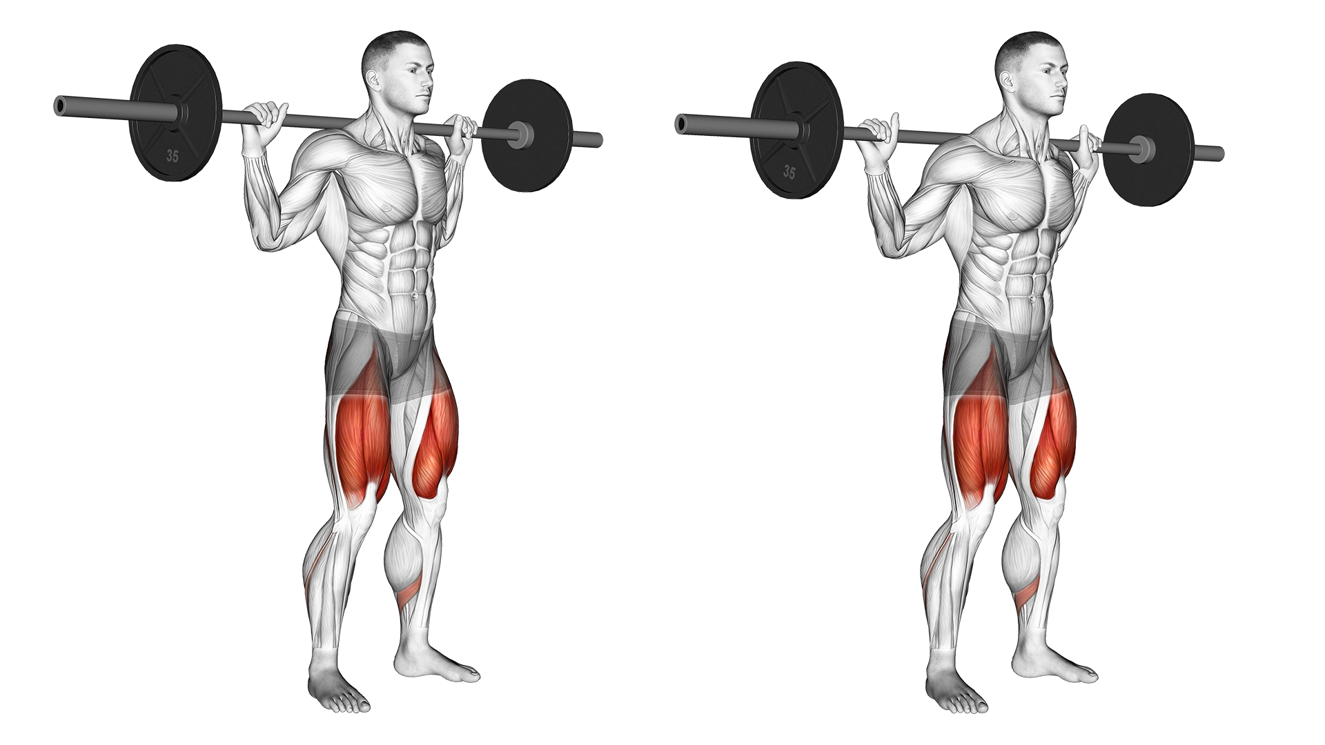 Low Bar vs High Bar Squat 6 Major Differences Explained Inspire US