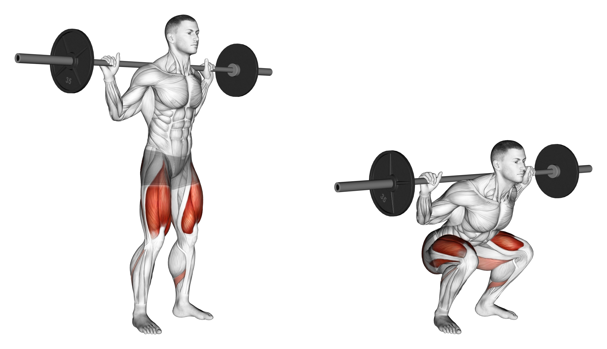 Squat Hurts Lower Back 6 Common Reasons Explained Inspire US