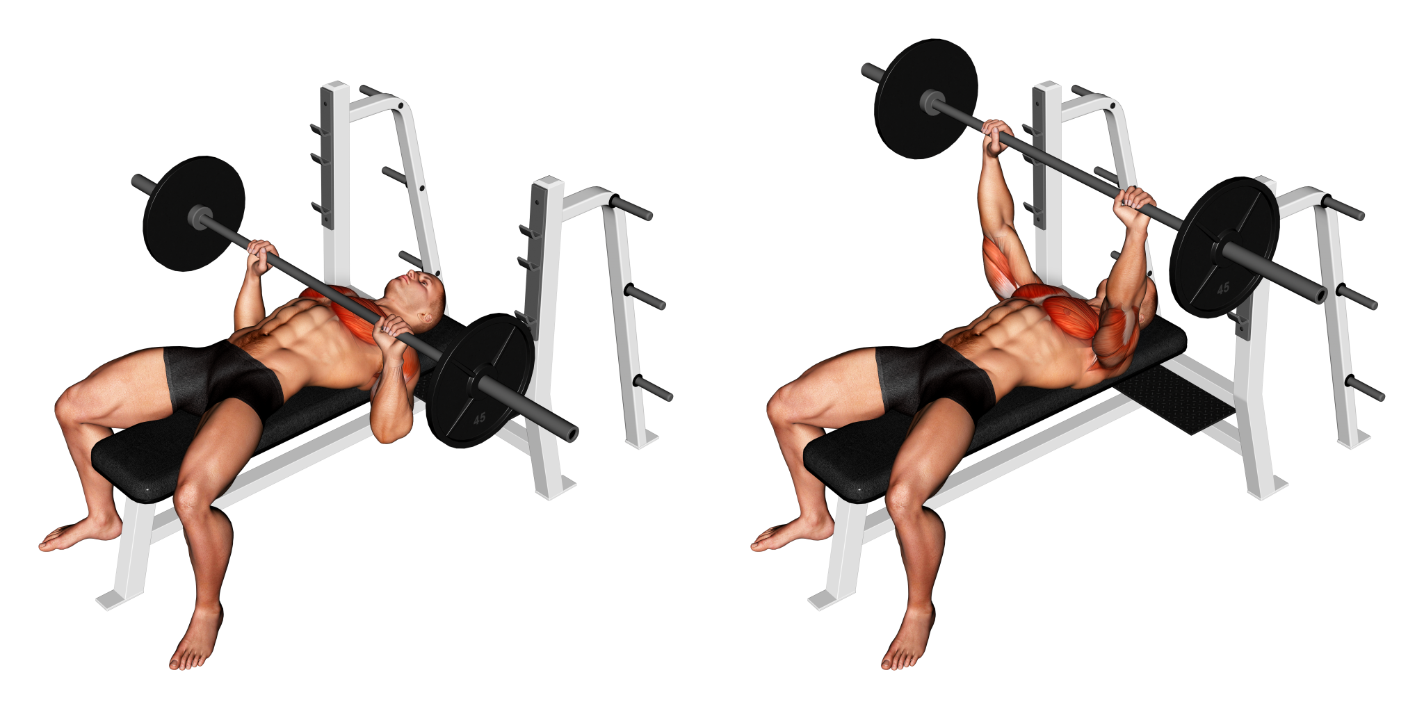 Barbell Bench Press Benefits, Muscles Used, and More Inspire US