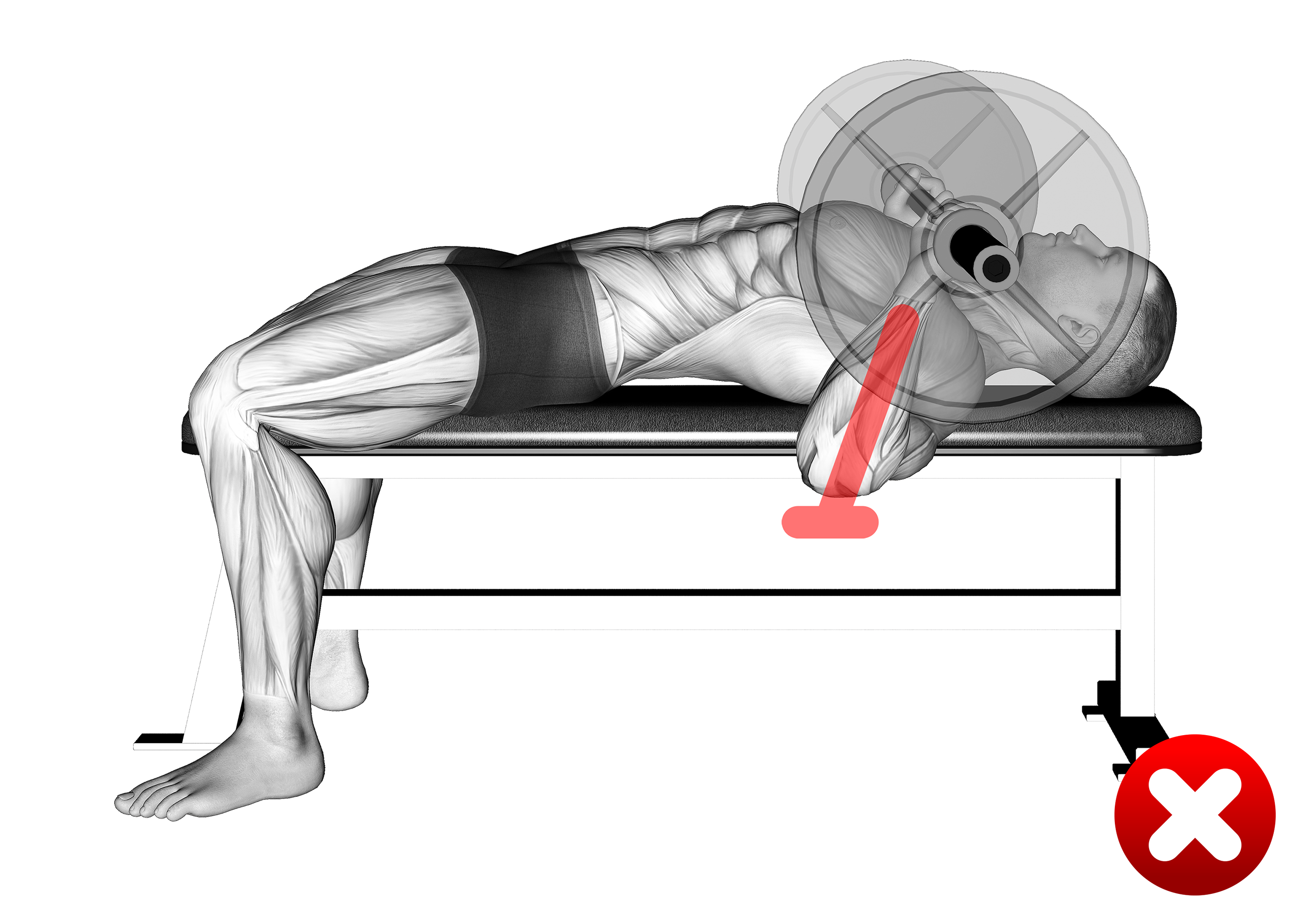 Bench Press Bar Path Proper Form Cues and More Inspire US
