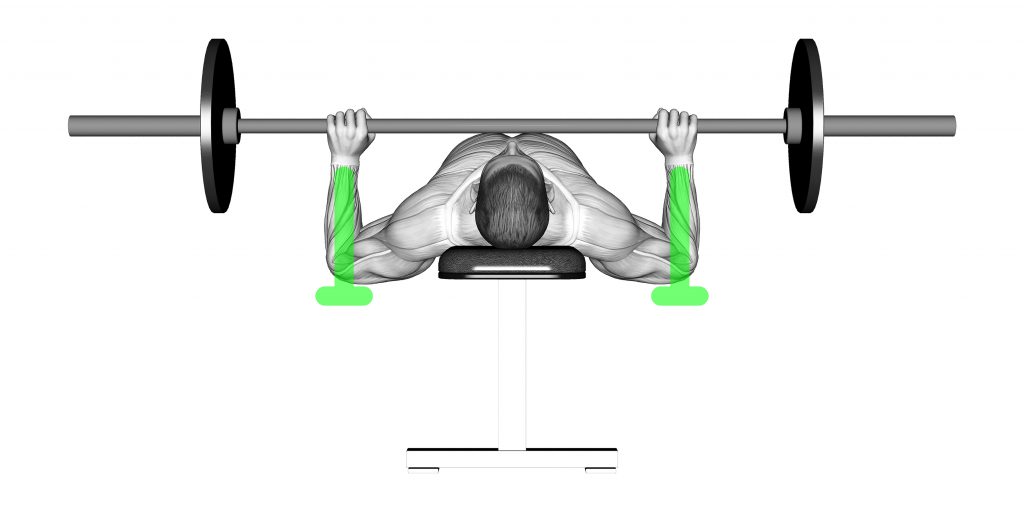 Bench Press Elbow Pain Reasons Explained Inspire US