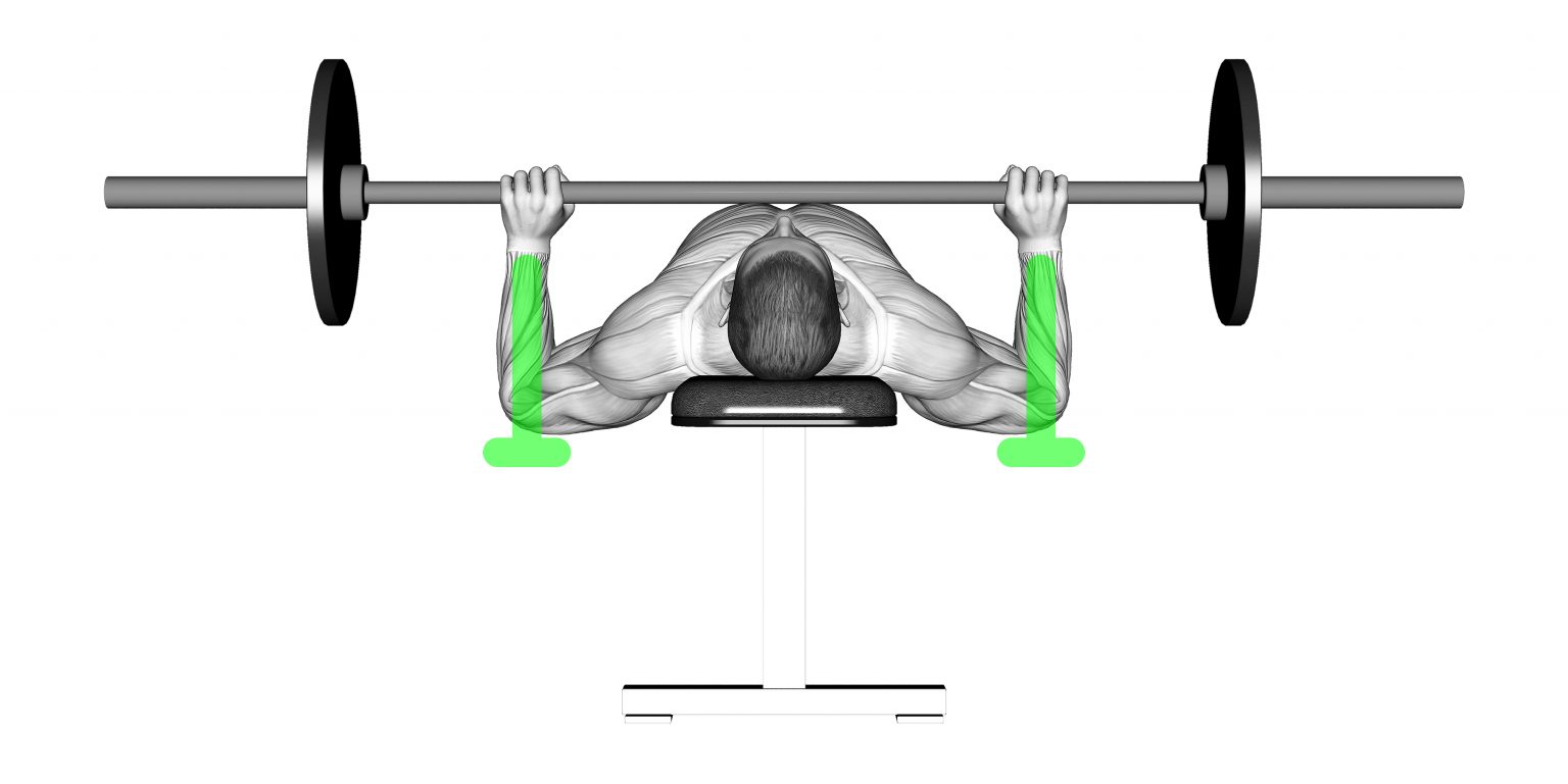 Bench Press Bar Path Proper Form Cues and More Inspire US