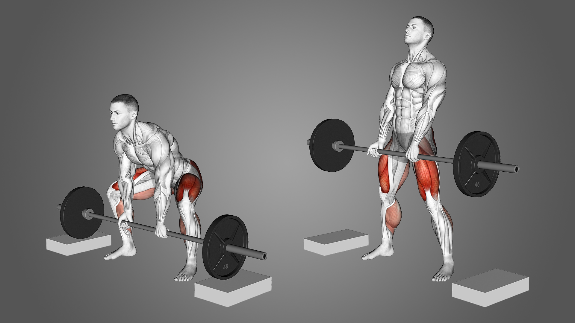 block-pull-deadlift-benefits-muscles-used-and-more-inspire-us