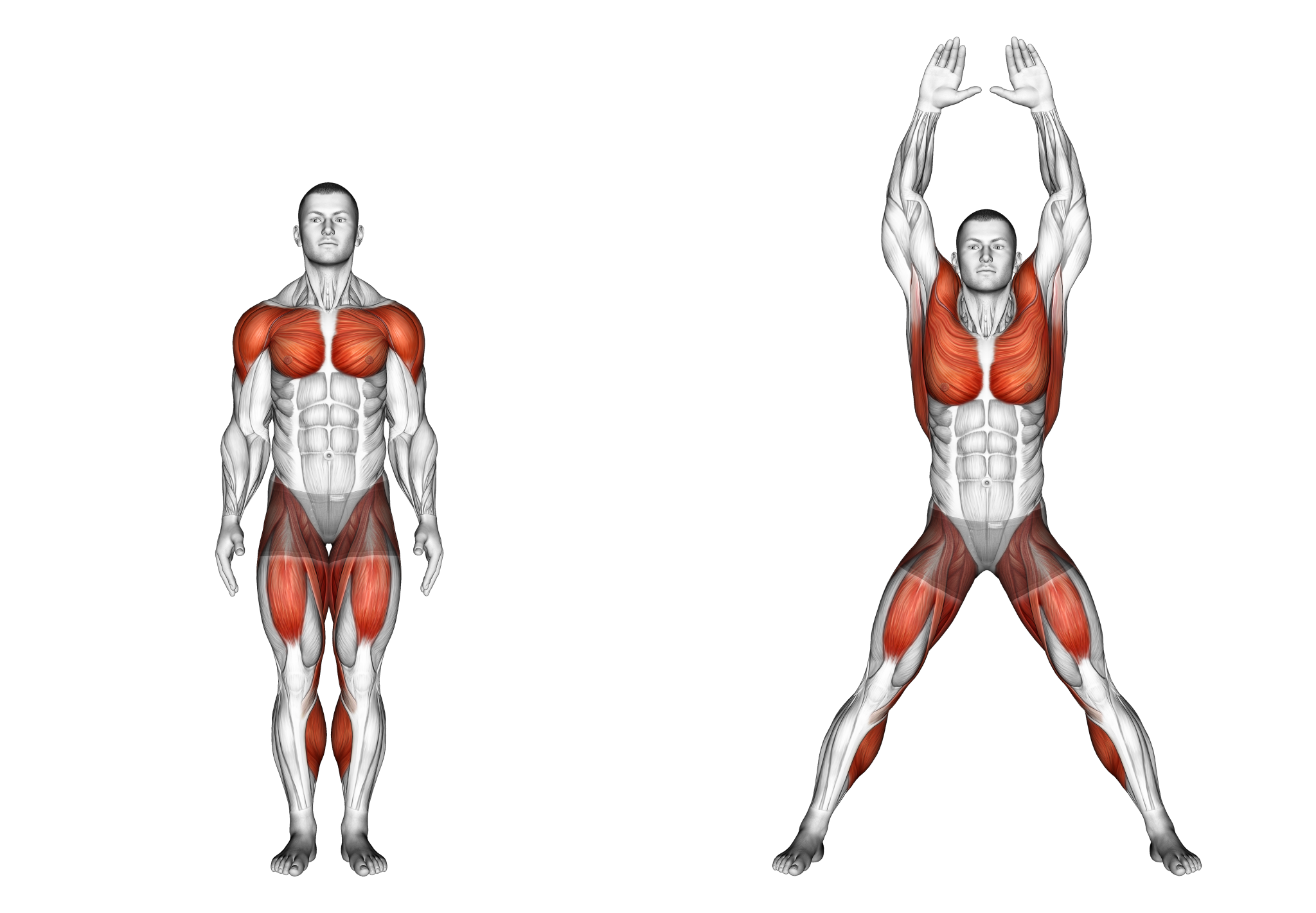 Jumping Jacks vs Jump Rope Which is Better? Inspire US