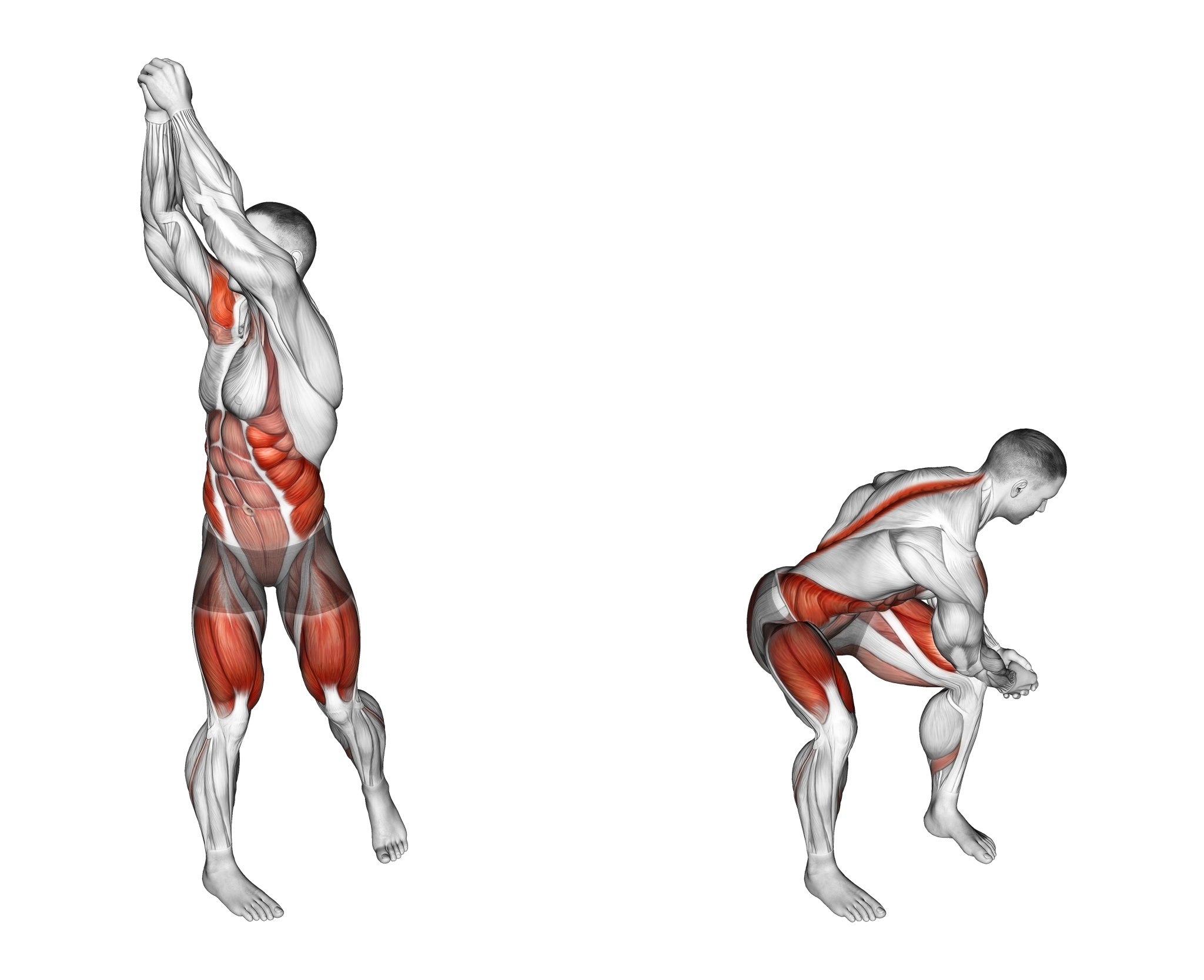 Wood Chop Exercise Alternatives How to Target the Obliques Inspire US