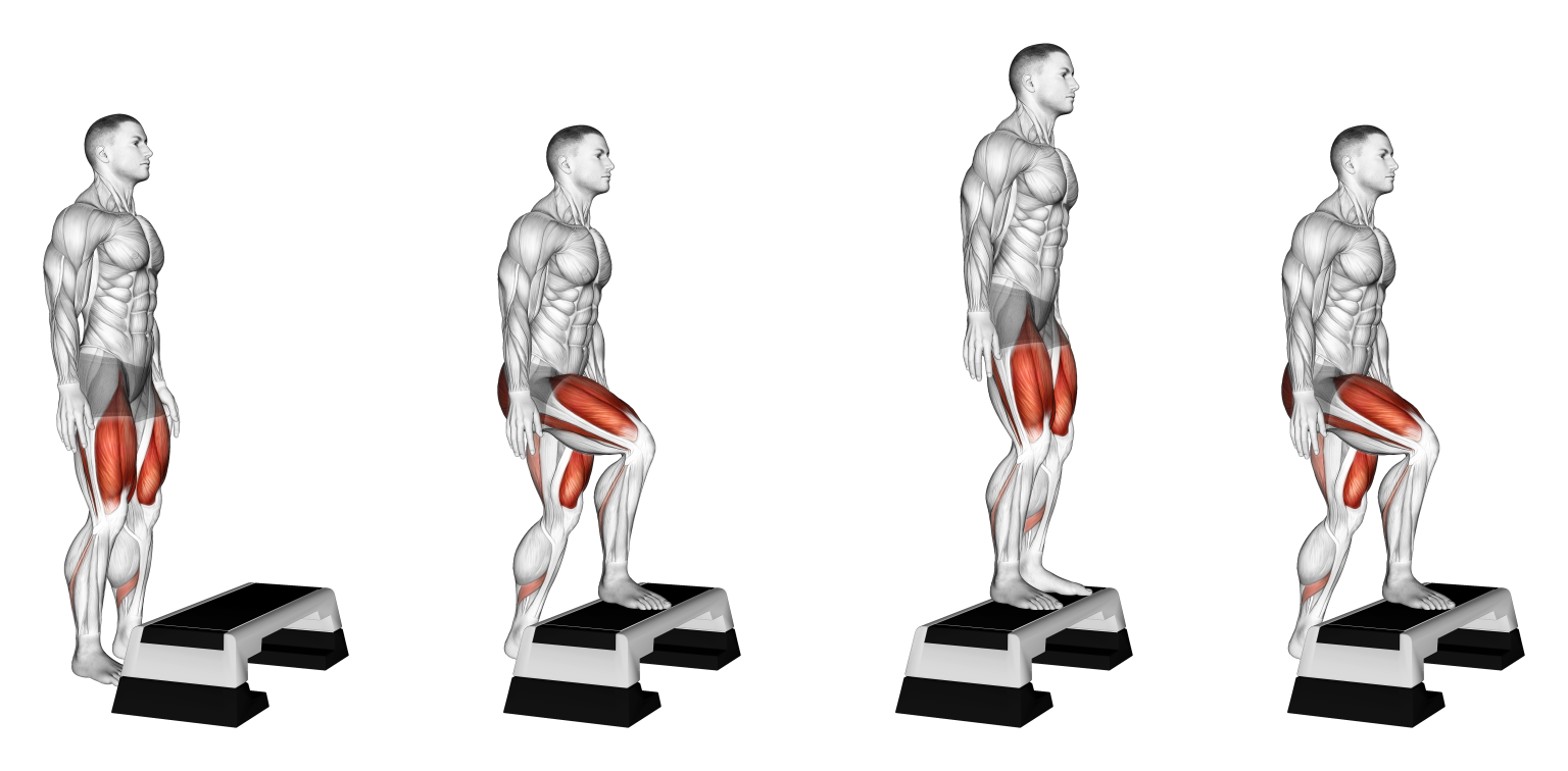 5 Best Knee Extension Exercises (with Pictures!) Inspire US