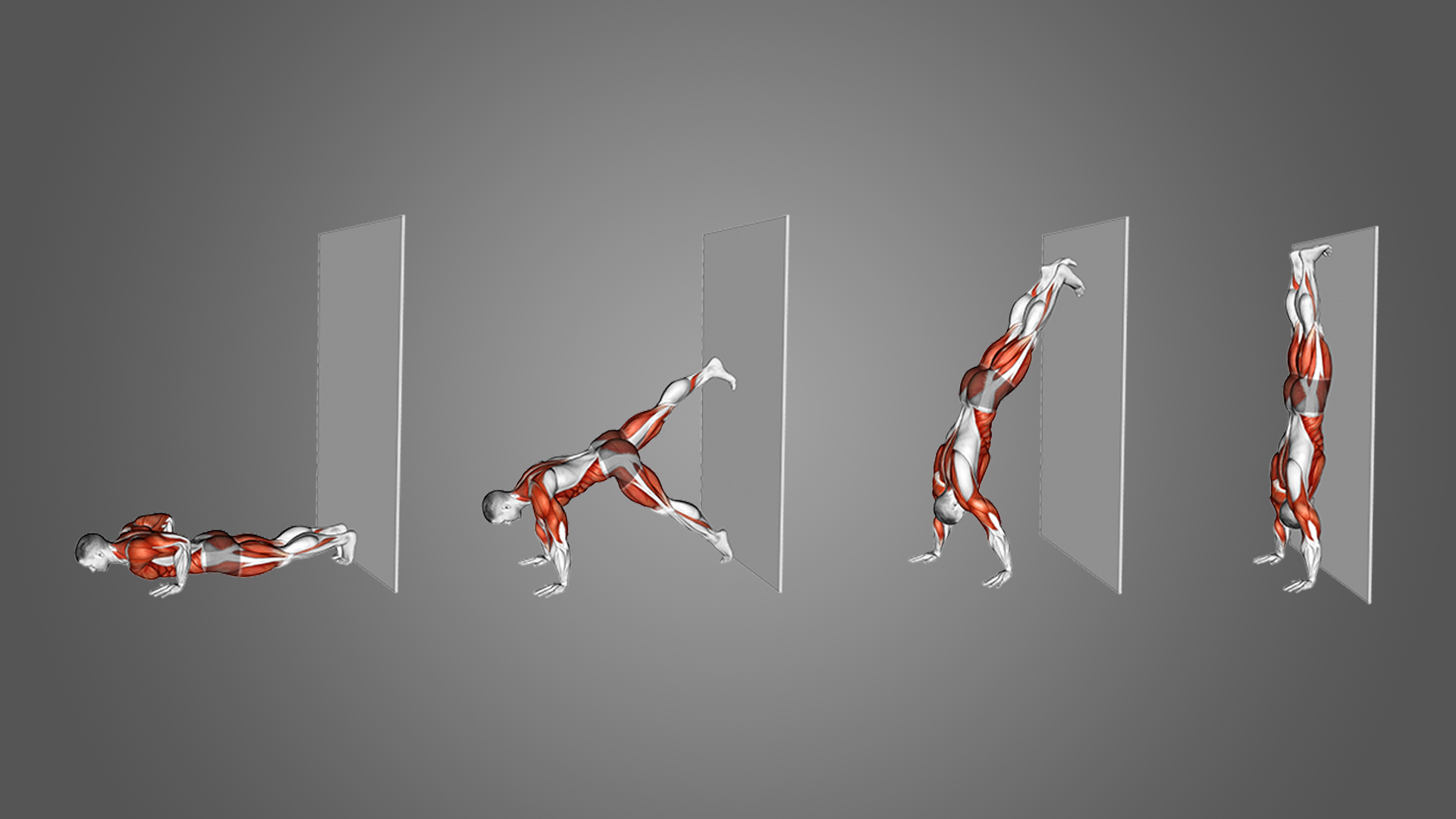 Wall Walk Alternatives How Target The Same Muscles Inspire US