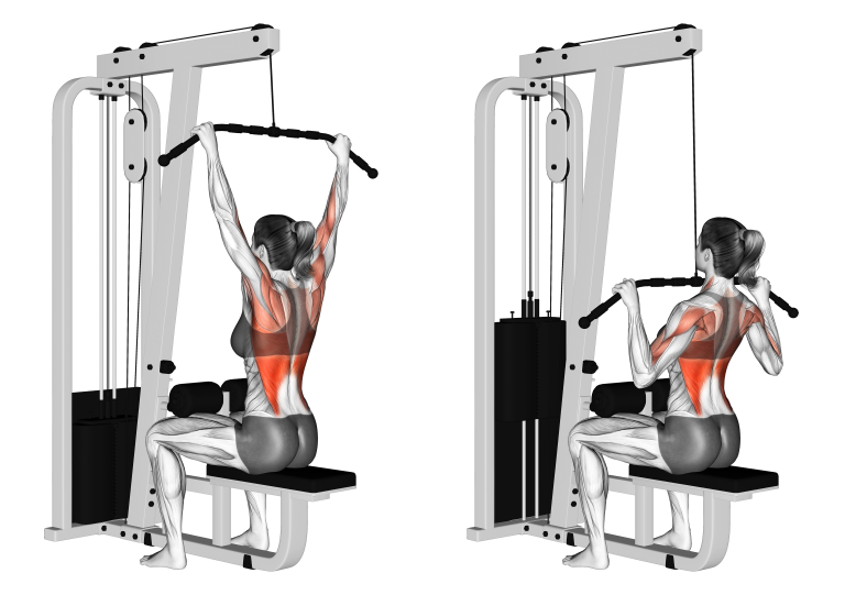 Lat Pulldown Machine Exercises Attachments and Alternatives Explained