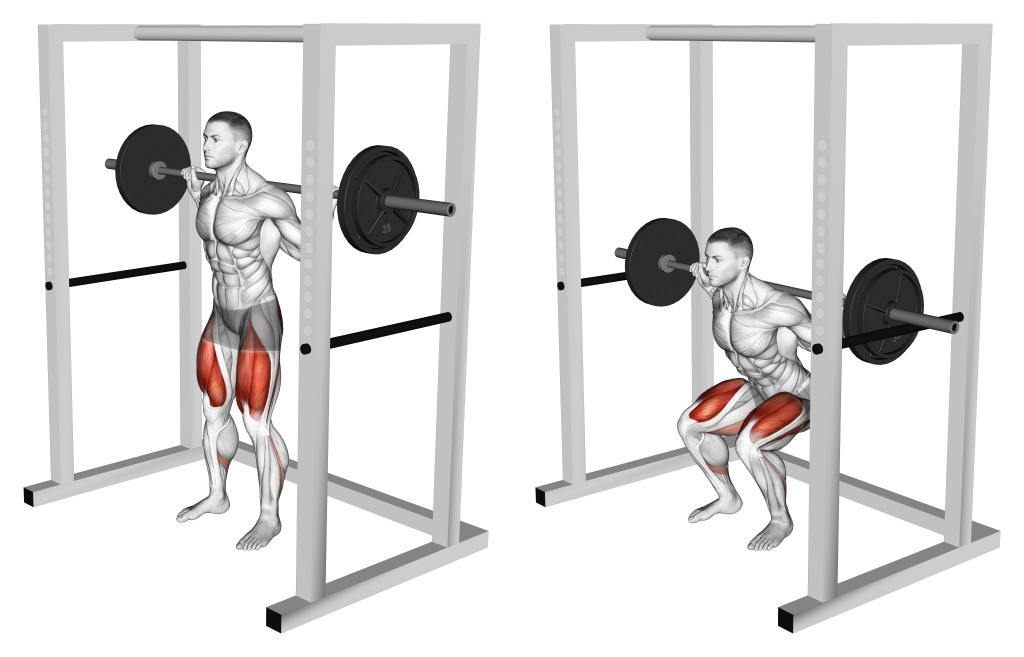 barbell pin squat muscles