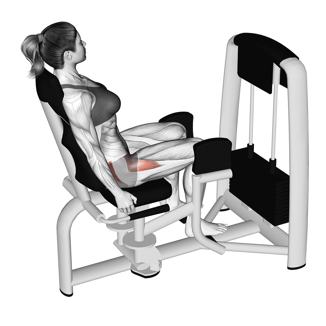 seated hip abduction
