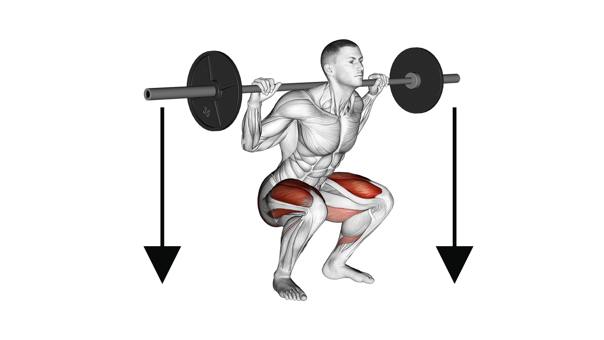 negative-eccentric-squat-benefits-muscles-used-more-inspire-us