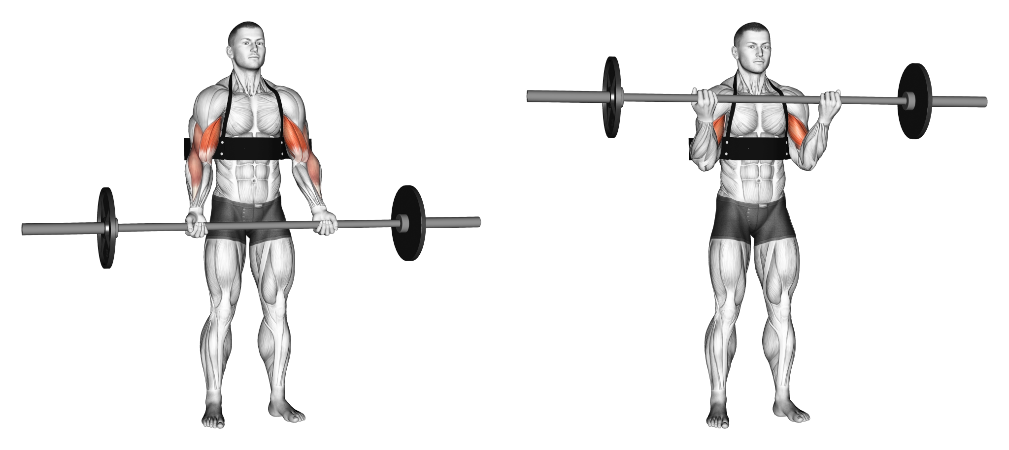 Arm Blaster Benefits Does it Actually Do Anything? Inspire US