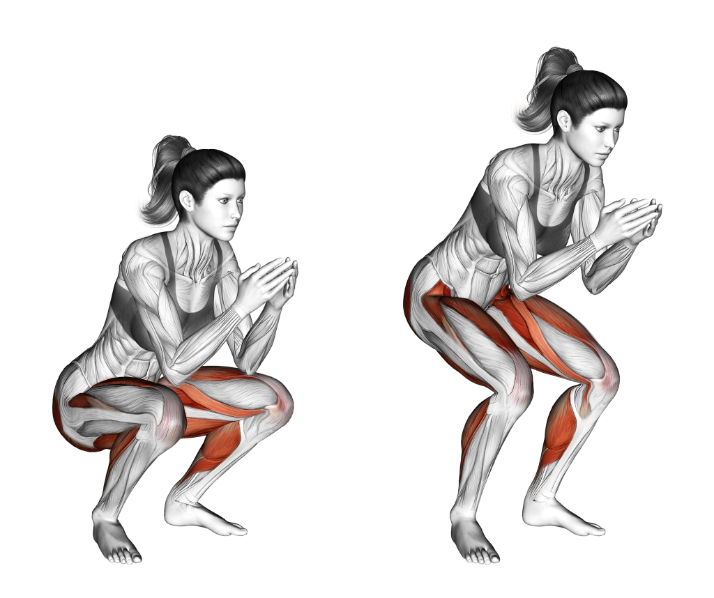 frog squat muscles