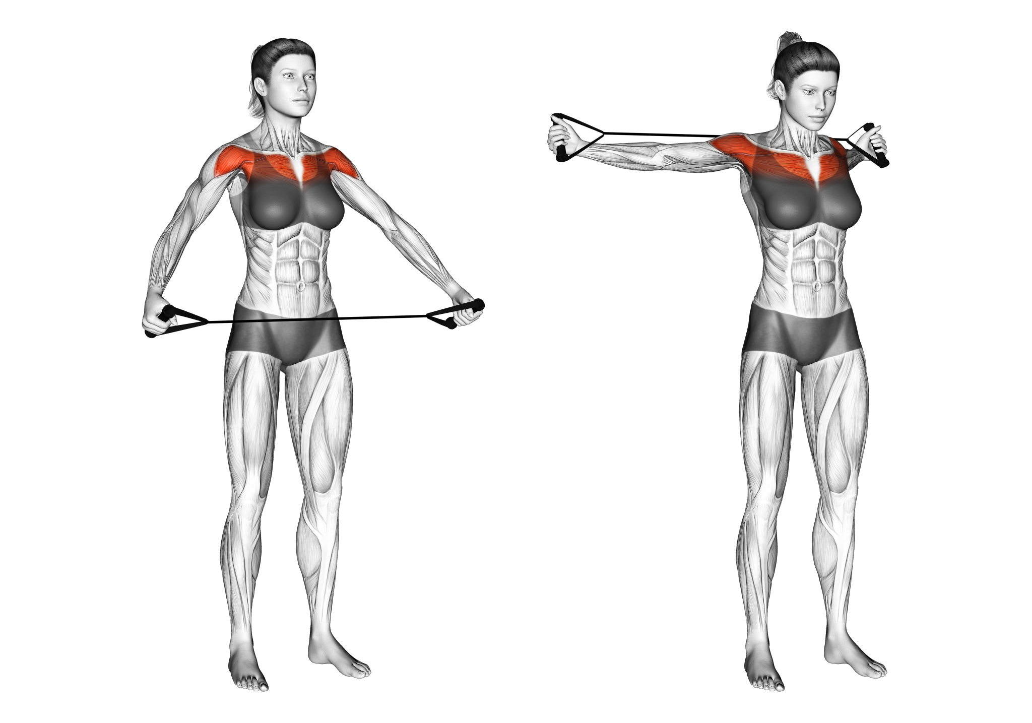 Shoulder Tendonitis: 5 Stretches and 5 Exercises (with Pictures ...