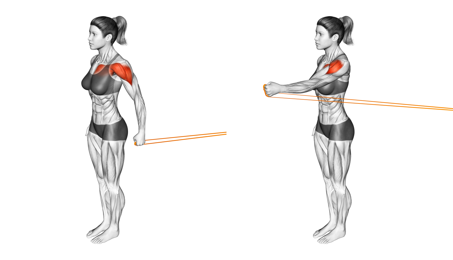 Shoulder Tendonitis 5 Stretches and 5 Exercises (with Pictures