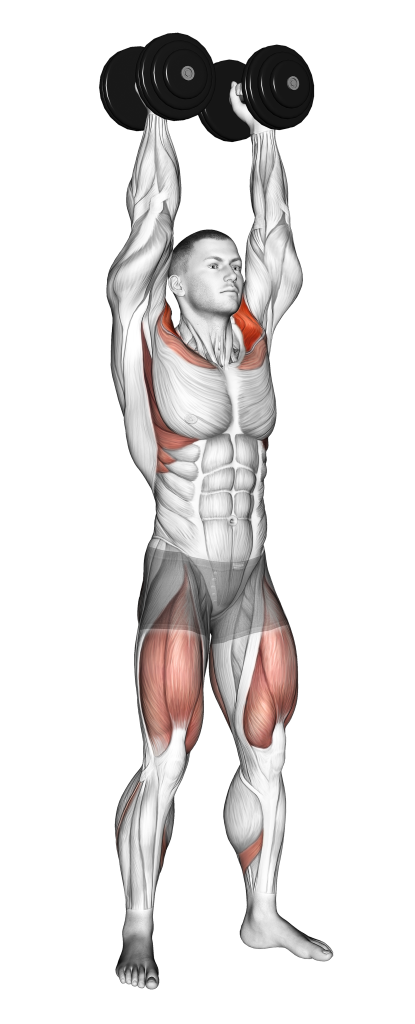 dumbbell push press end position
