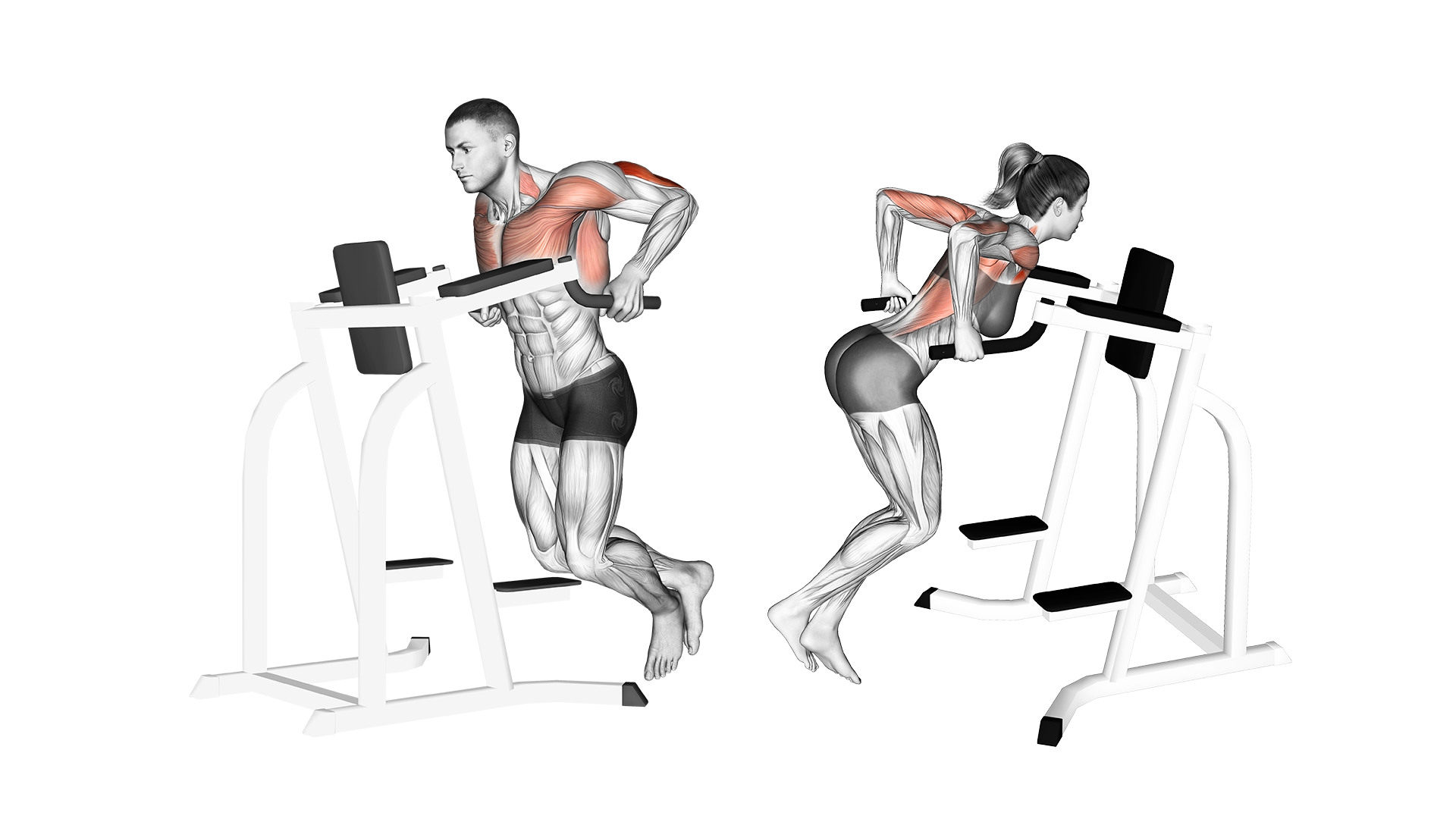 Triceps Dips Oefening Triceps Dips Oefening