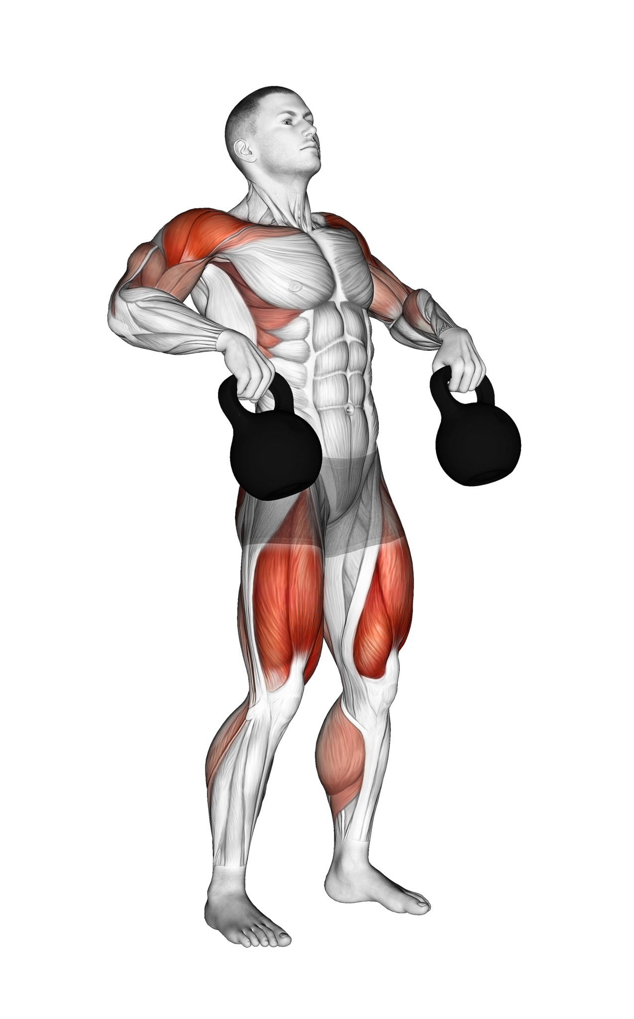 Kettlebell Clean And Jerk Benefits, Muscles Worked, and More Inspire US