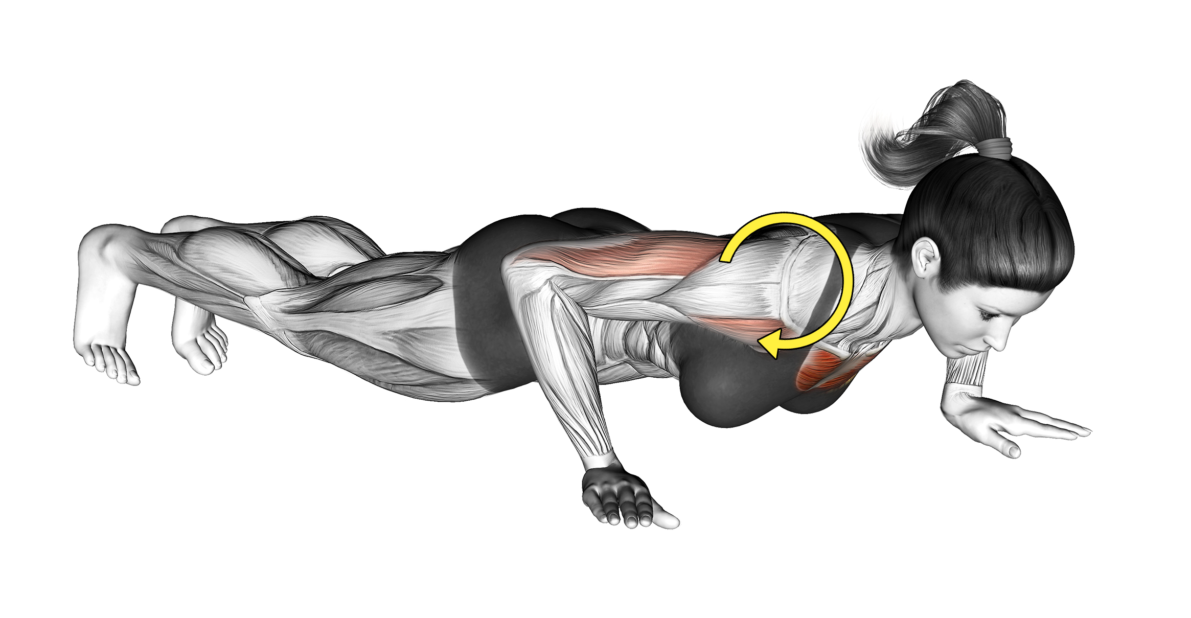 push up shoulders rolling forward