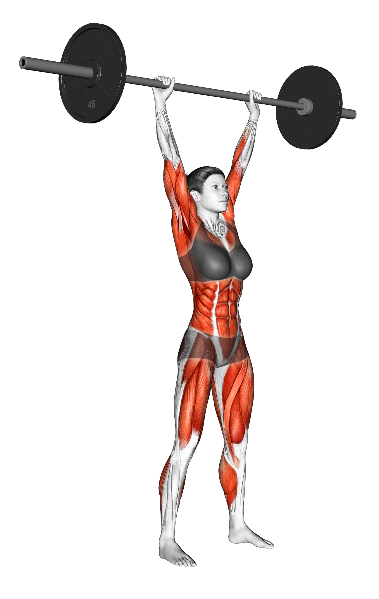 Clean and Press Benefits, Muscles Worked, and More Inspire US