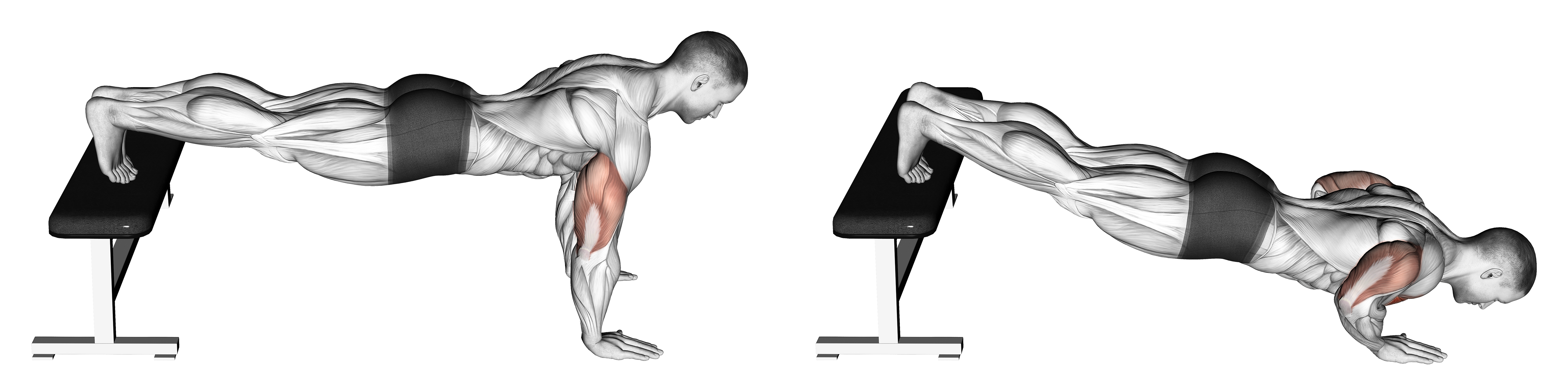 Vct push up playercard. Отжимания ноги на скамье. decline push ups. chest workout decline push up. decline push ups упражнение.