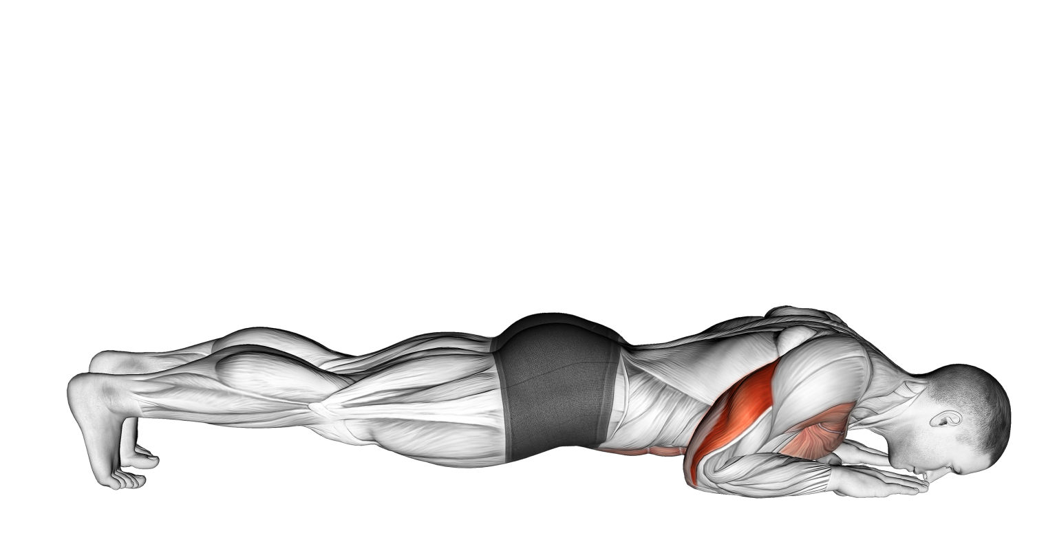 Forearm Push Ups Benefits, Muscles Worked, and More Inspire US