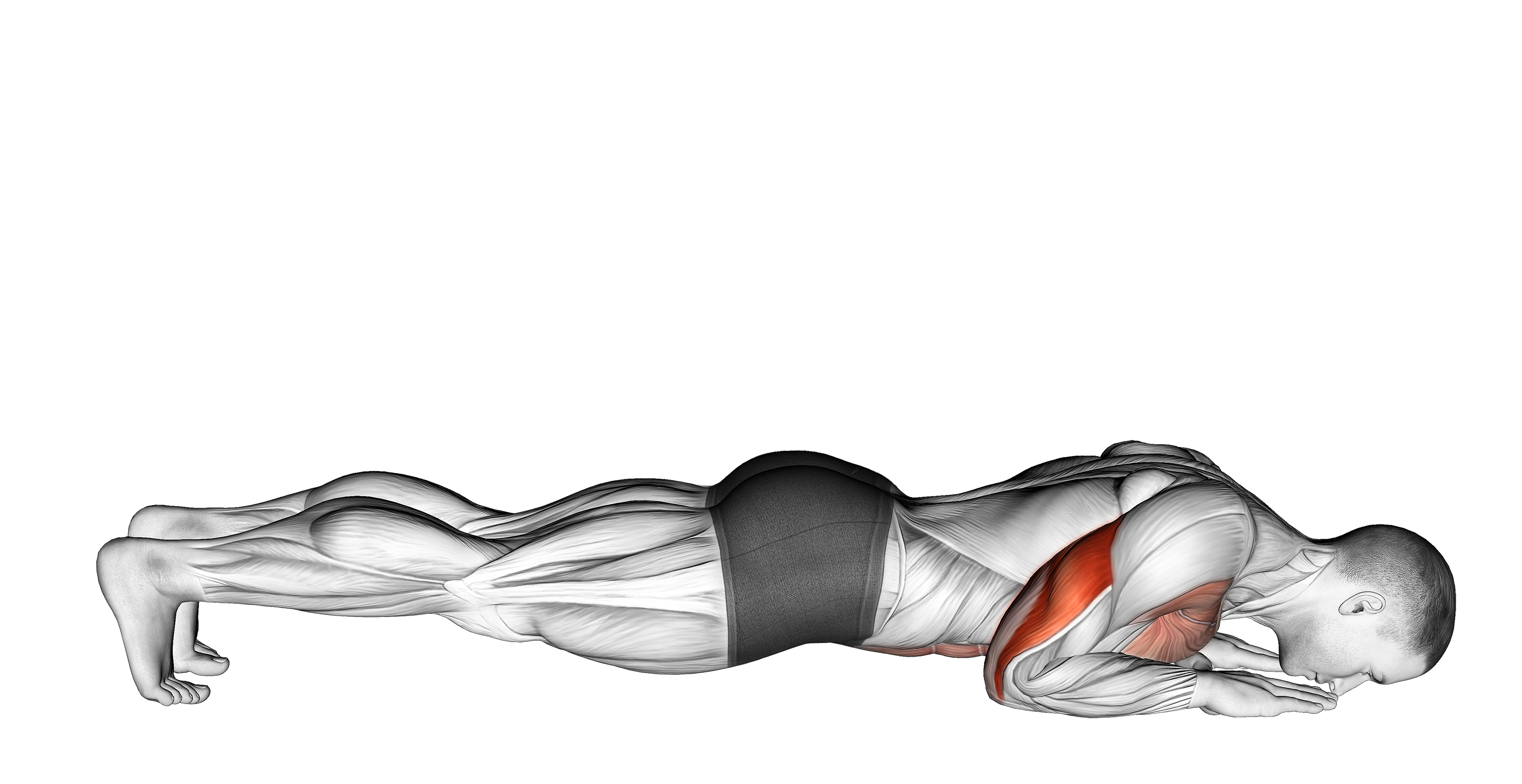 Forearm Push Ups Benefits, Muscles Worked, and More Inspire US