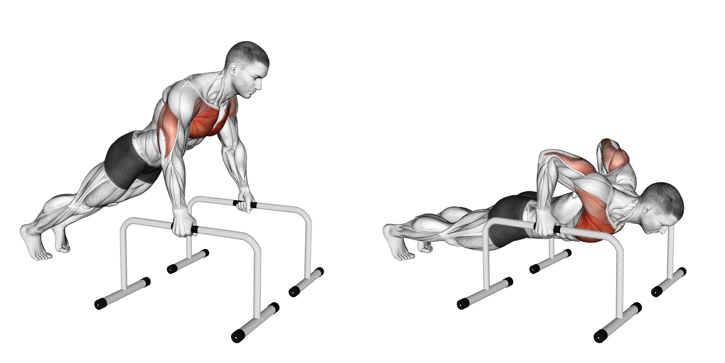 Push Up Bars Are there any Benefits to Using Them? Inspire US