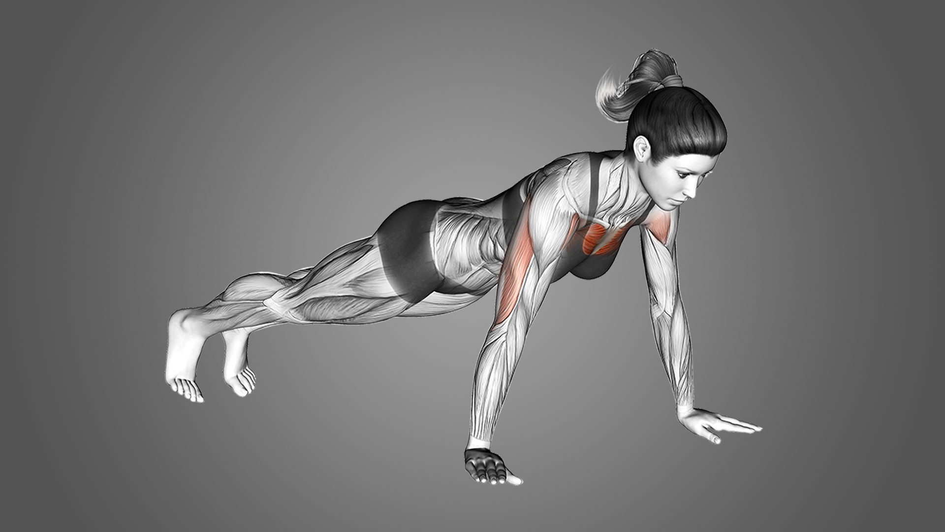 Push Ups Benefits, Muscles Worked, and More Inspire US