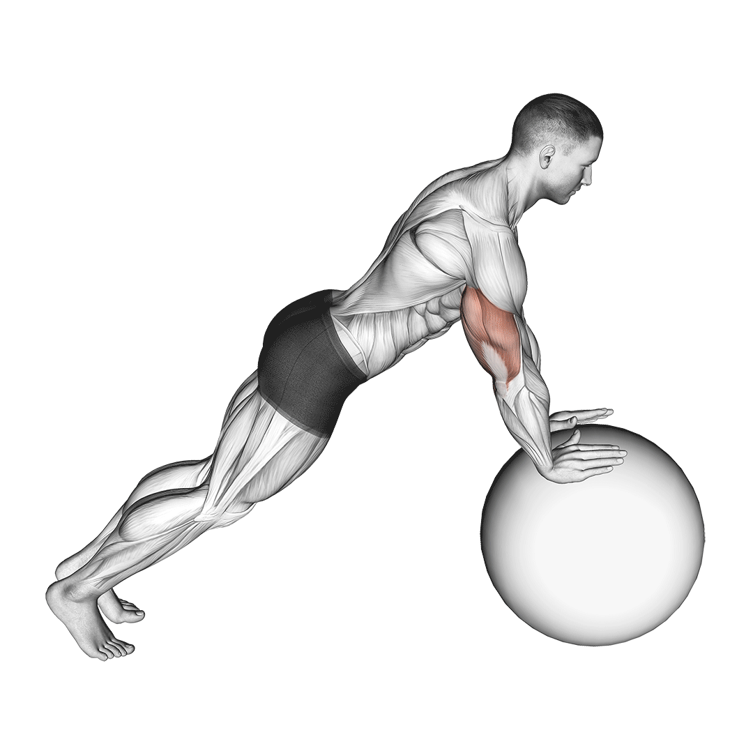stability ball push up