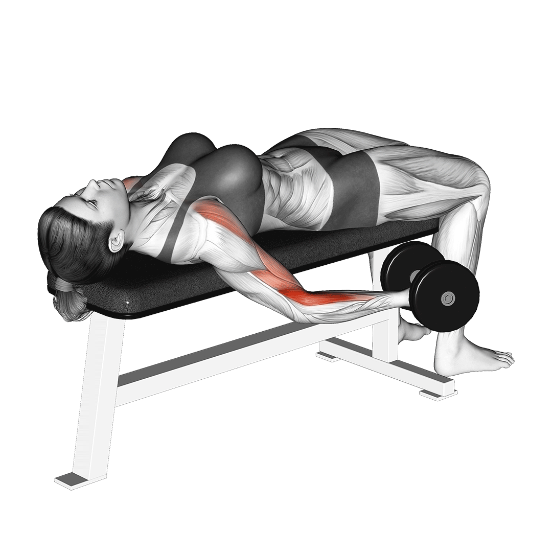 supine dumbbell curl