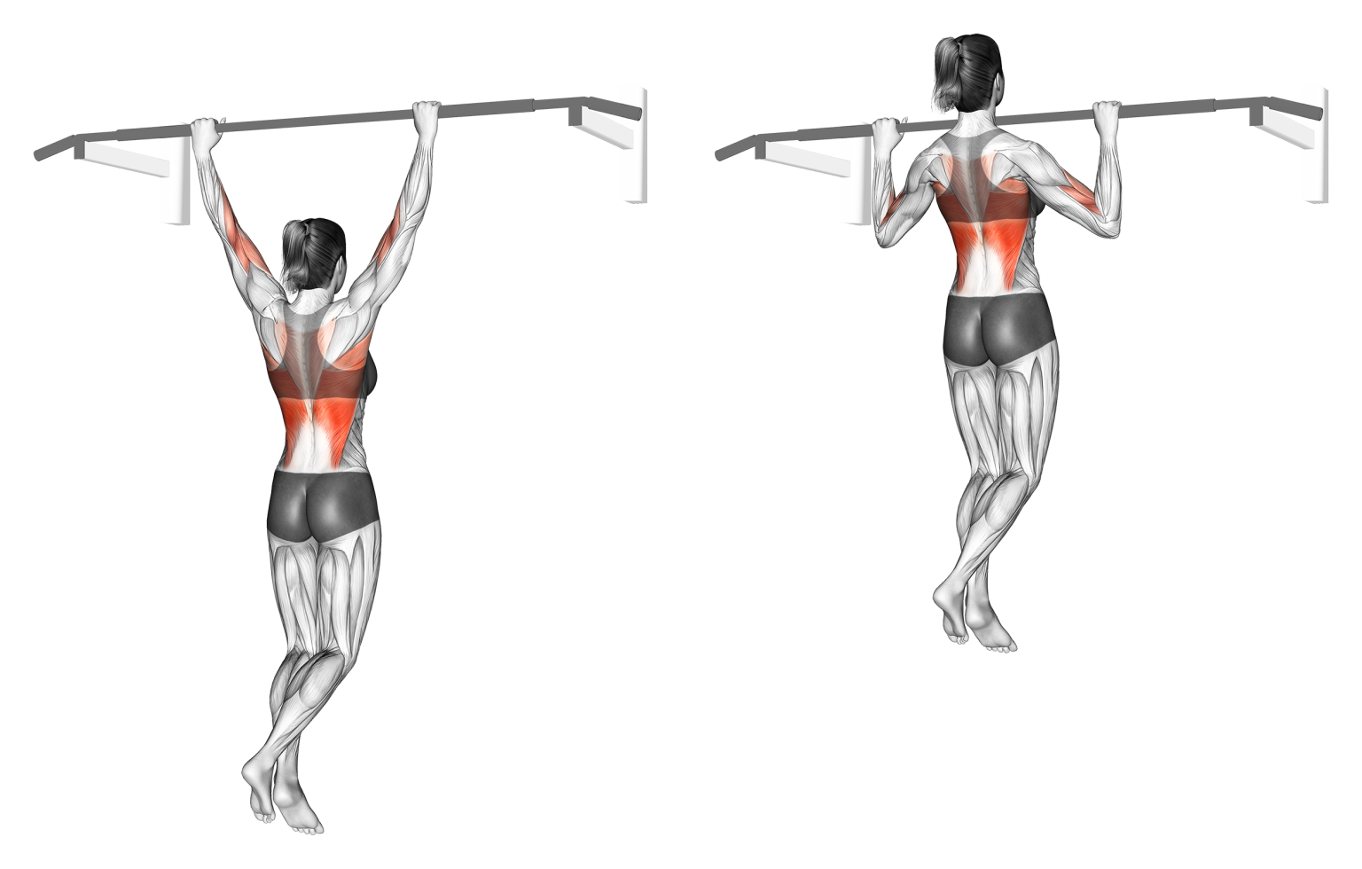 4 Best Pull Up Variations For Back Musculature (with Pictures