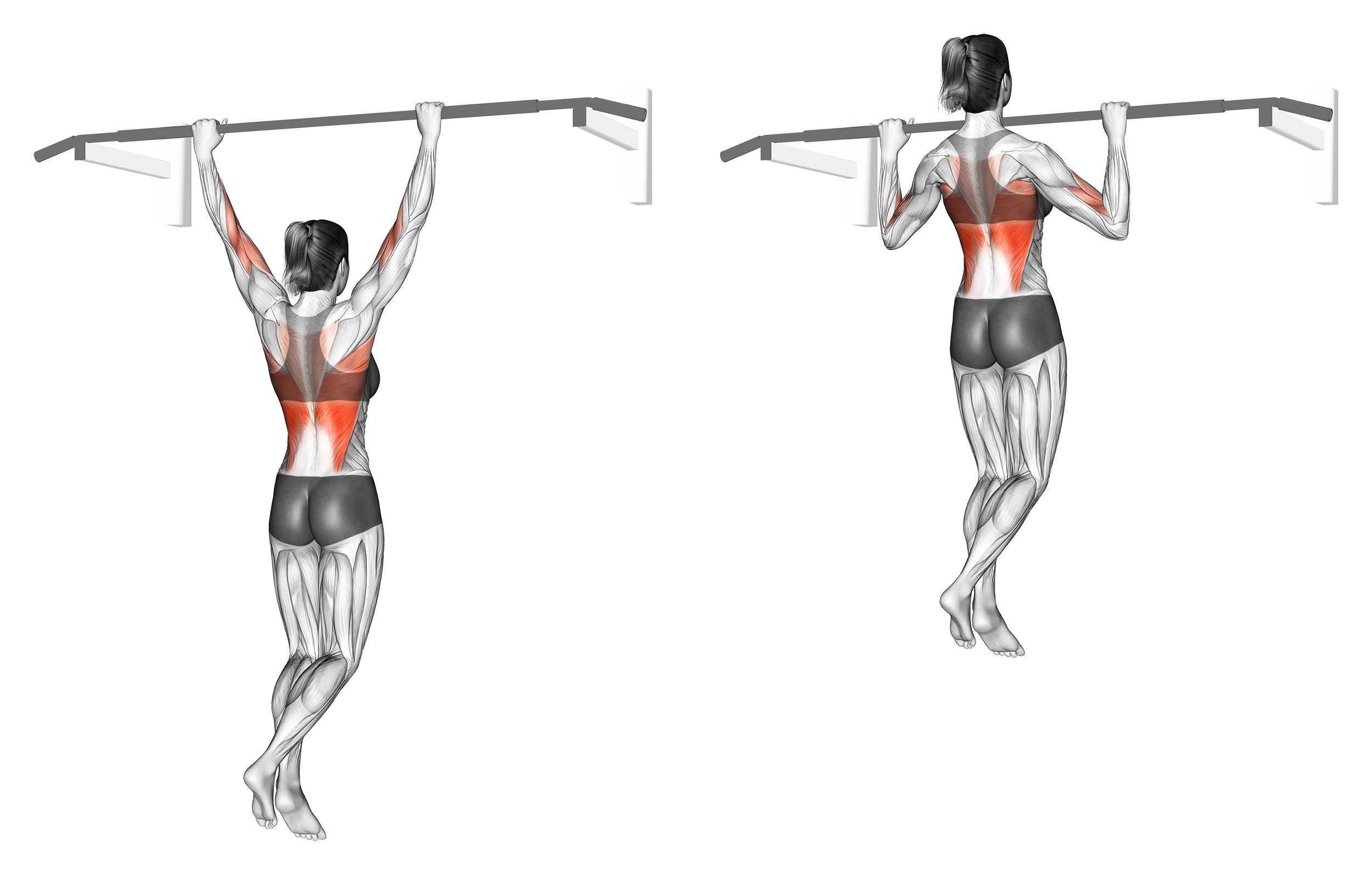 Wide Grip vs Close Grip Pull Ups Differences Explained Inspire US