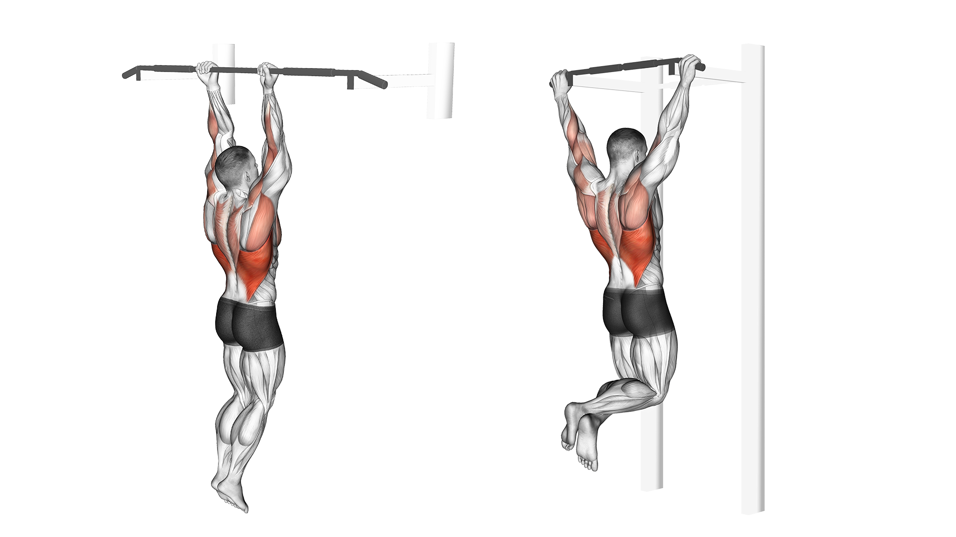 6 Best Vertical Pull Exercises (with Pictures!) Inspire US