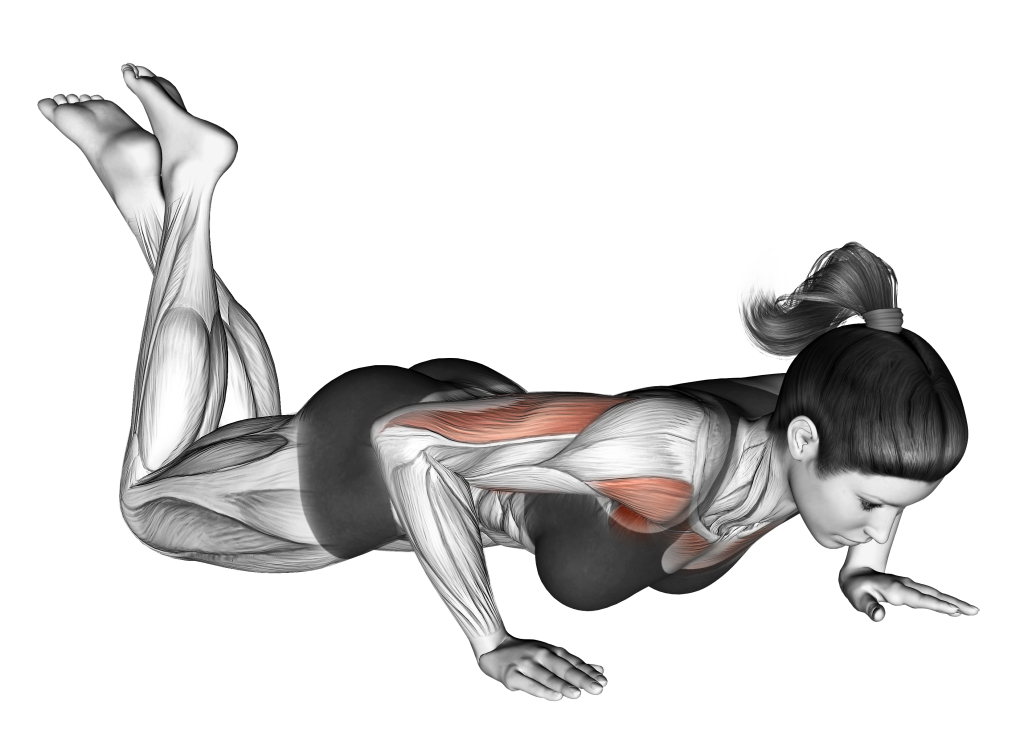 knee push up ending position