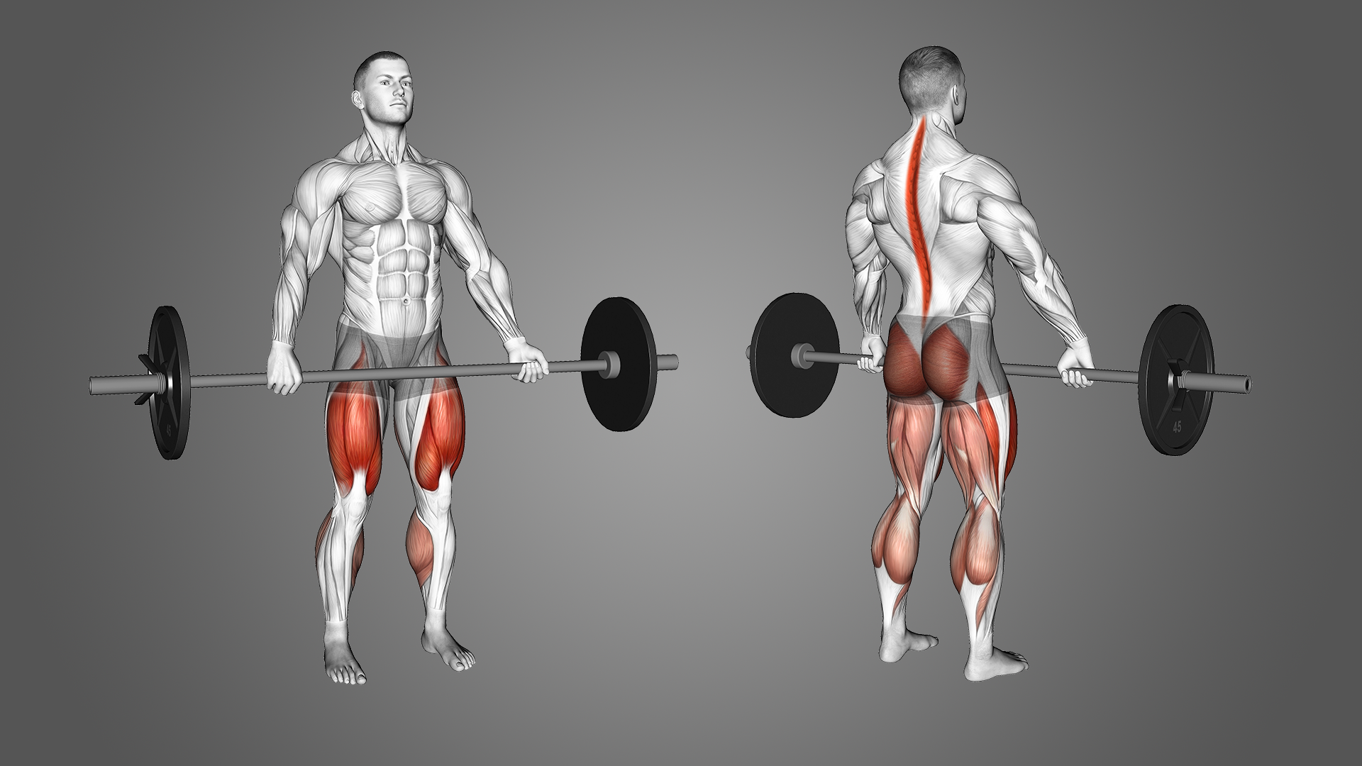 Hook Grip vs Mixed Grip Deadlift Which to Use Inspire US