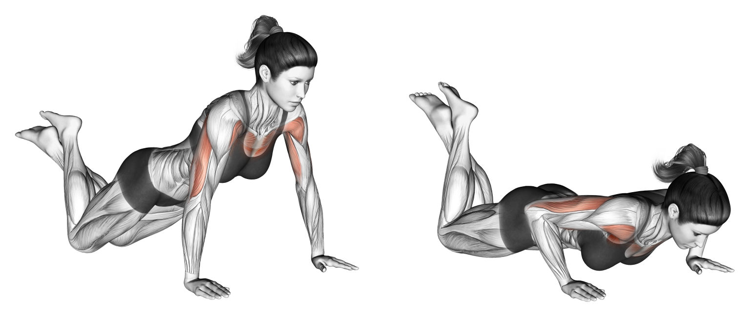 Knee Push Ups/Kneeling Push Ups Benefits, Muscles Worked, and More