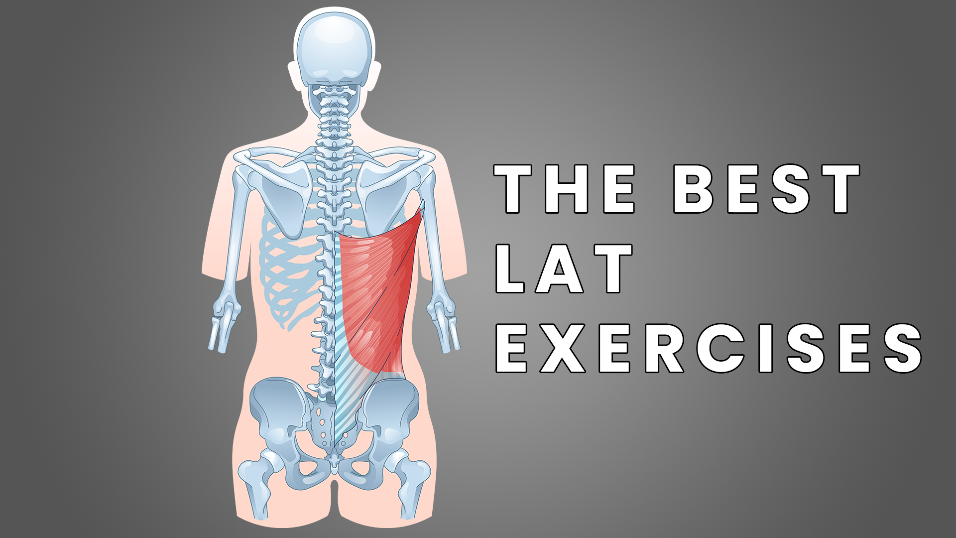 10 Best Lat Exercises Bodyweight, Free Weight, Machine and More (with