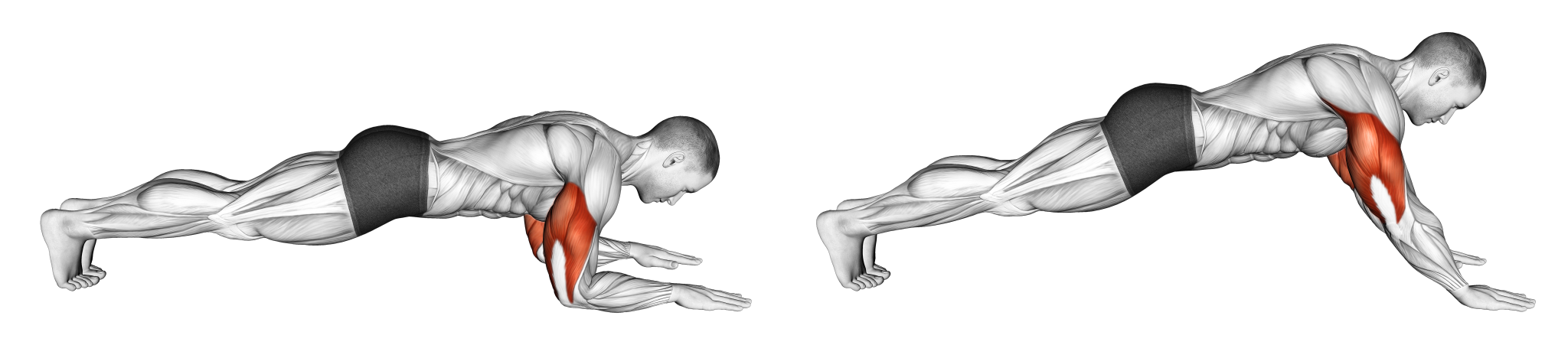 18 Types of Push Ups (Variations): Novice, Intermediate, Advanced ...