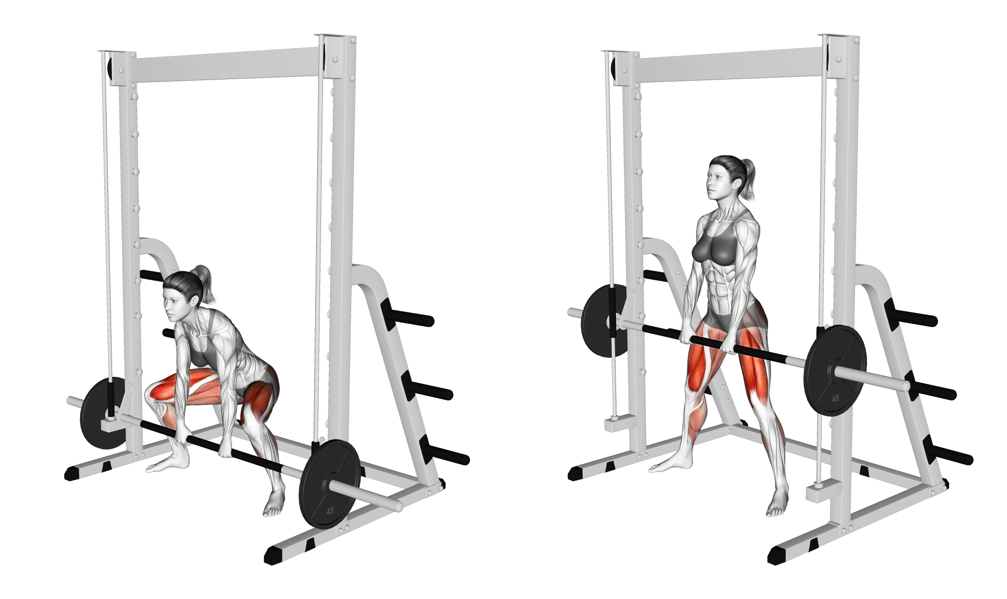 Can You Deadlift on a Smith Machine? Yes, Here's How Inspire US