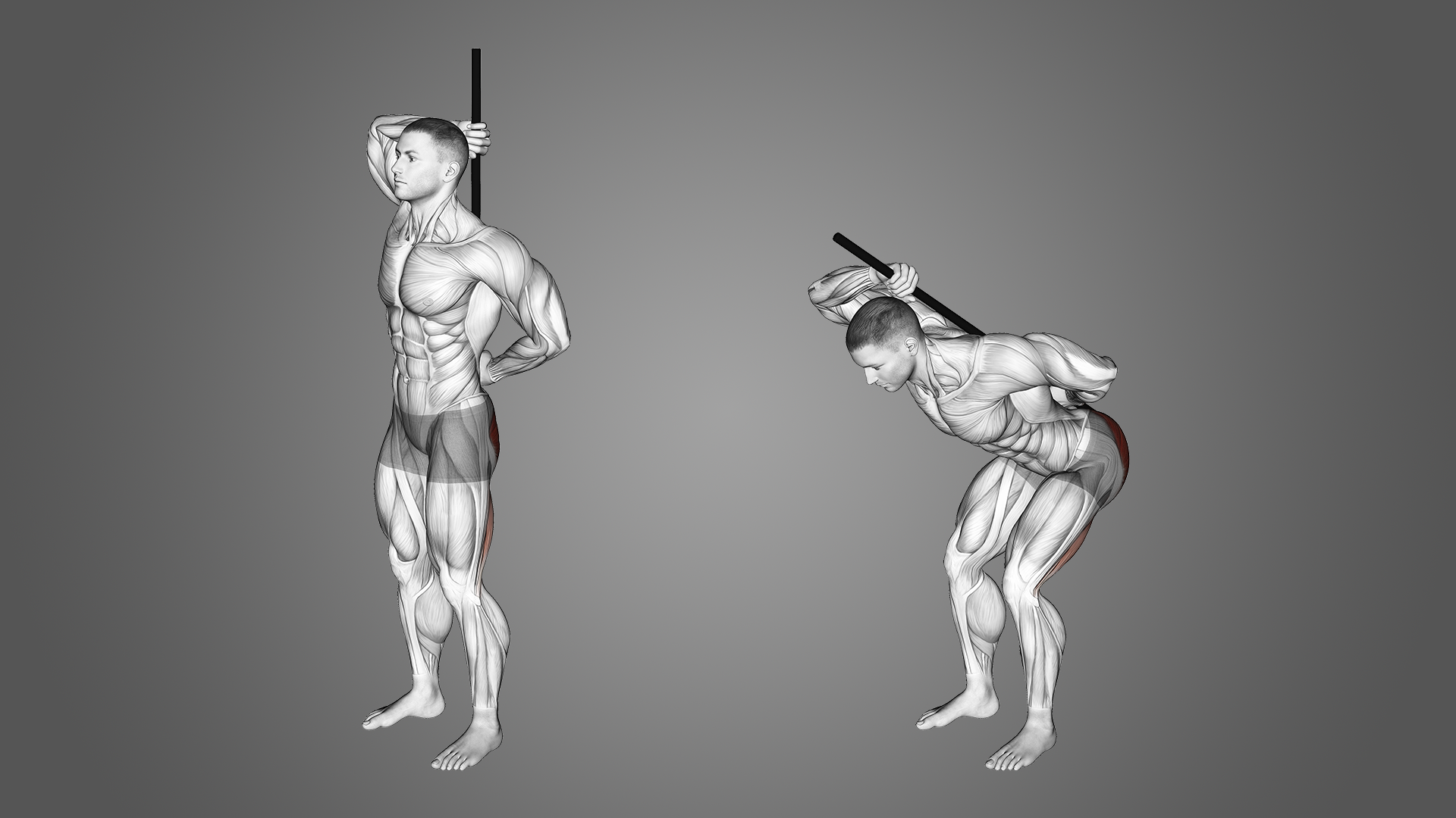 What is Hip Hinge? Why It's so Important Inspire US