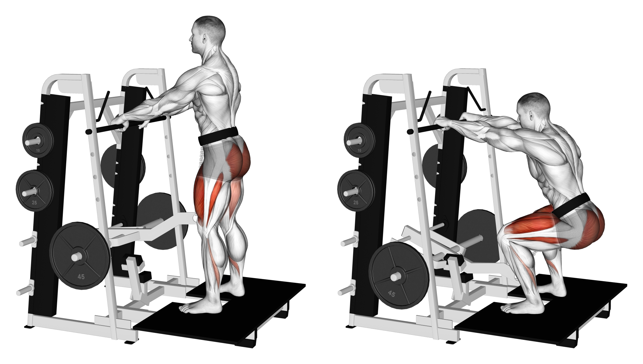 Belt Squat vs Back Squat Differences Explained Inspire US